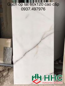 Gạch ốp tường 60x120 Ấn Độ Q1